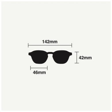 Ashbury Sunglasses Belvedere ACCESSORIES
