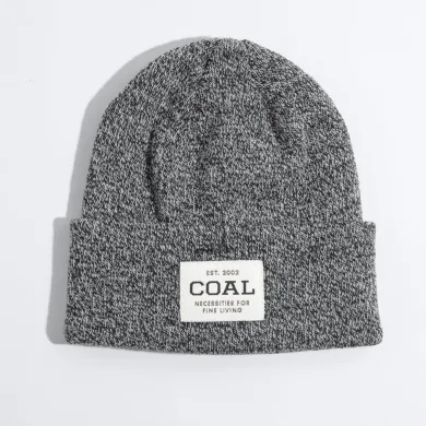 Coal Kids Beanie The Uniform 
