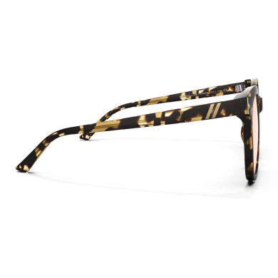 Blenders Unisex Sunglasses Grove | Wildcat Love ACCESSORIES Blenders Unisex Sunglasses Grove | Wildcat Love ACCESSORIES