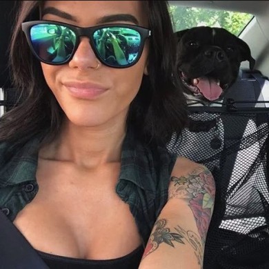 Knockaround Sunglasses Premiums ACCESSORIES