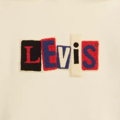 Levi's Αντρικό Φούτερ Skate Hoodded Sweatshirt Neutrals 