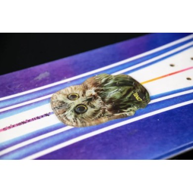 Oneball Stomp Pad Traction Owl