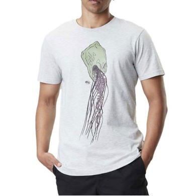 Picture S/S T-Shirt Jellybag MEN