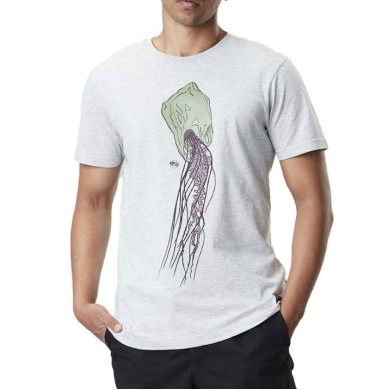Picture S/S T-Shirt Jellybag