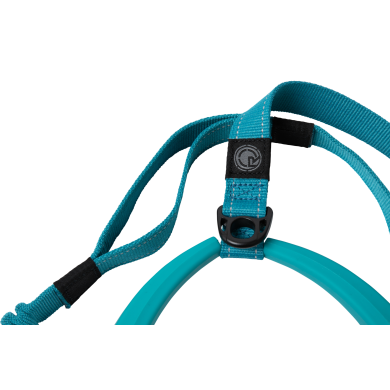 Radar Dog Leash 5Ft Bungee ACCESSORIES Radar Dog Leash 5Ft Bungee ACCESSORIES