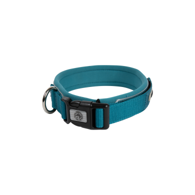 Radar Dog Collar ACCESSORIES Radar Dog Collar ACCESSORIES