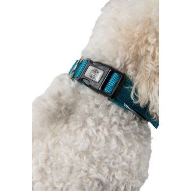 Radar Dog Collar ACCESSORIES Radar Dog Collar ACCESSORIES