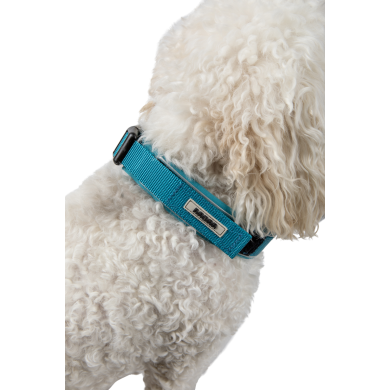 Radar Dog Collar ACCESSORIES Radar Dog Collar ACCESSORIES