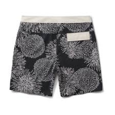 Roark Boardshort Passage 