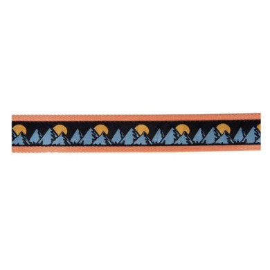 Santa Cruz Belt Vista