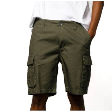 Santa Cruz Short Gauntlet 