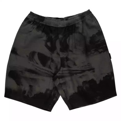 Santa Cruz Short Painters