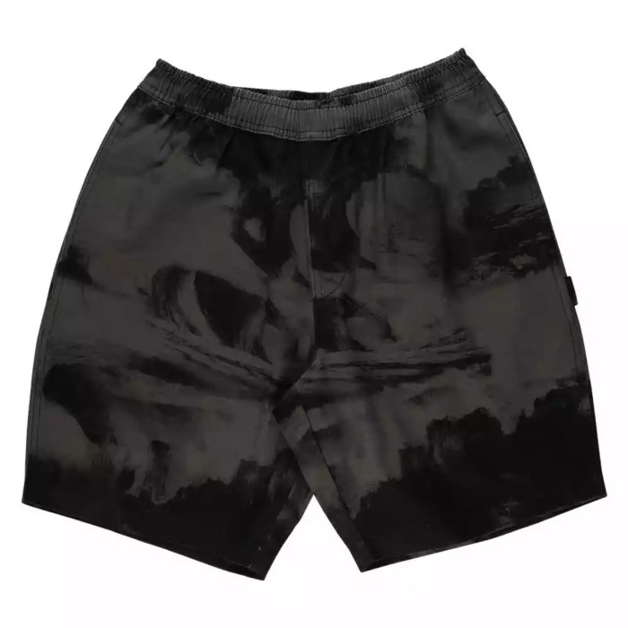 Santa Cruz Short Painters